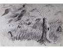 paysage_crayon (papier)