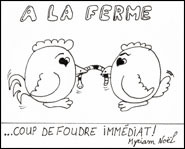 Piou-piou - Amour sans age