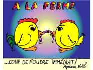 Piou-piou - Amour sans age