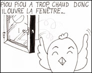 Piou-piou - Attention batiment neuf