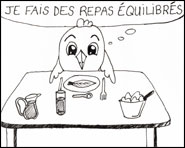 Piou-piou - Bonne année