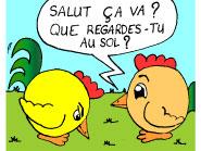 Piou-piou - Pauvre Piou-piou :'()