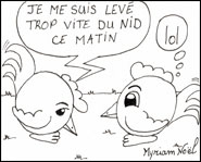 Piou-piou - Pauvre Piou-piou :'(