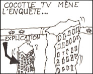 Piou-piou - reveil matin