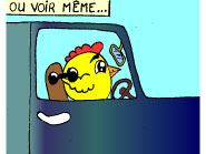 Piou-piou - Vive le télétravail