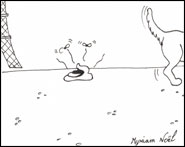 Piou-piou - tourisme moderne