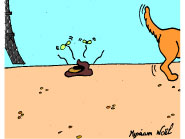 Piou-piou - tourisme moderne