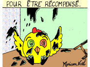 Piou-piou - Vive le bricolage ;)