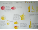 recherches_flacon - fruits